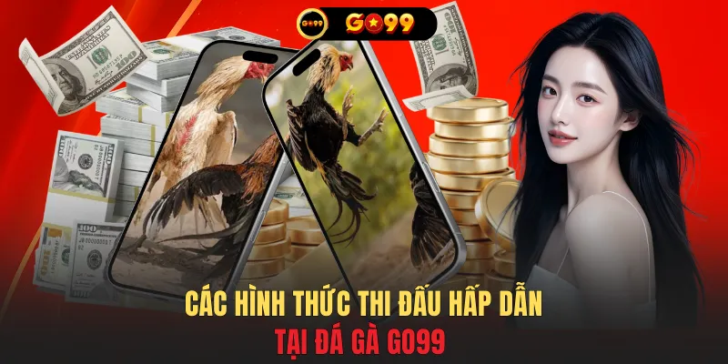 Các hình thức thi đấu hấp dẫn tại đá gà GO99